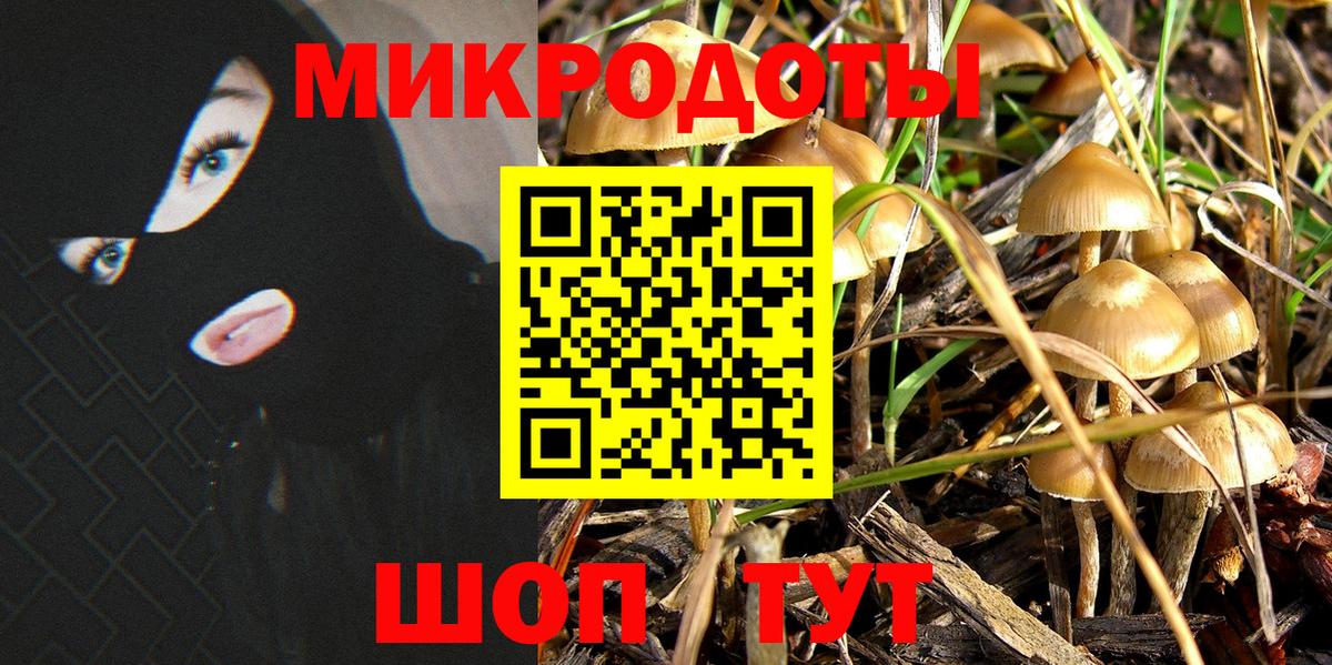 Галлюциногенные грибы MAGIC MUSHROOMS Златоуст