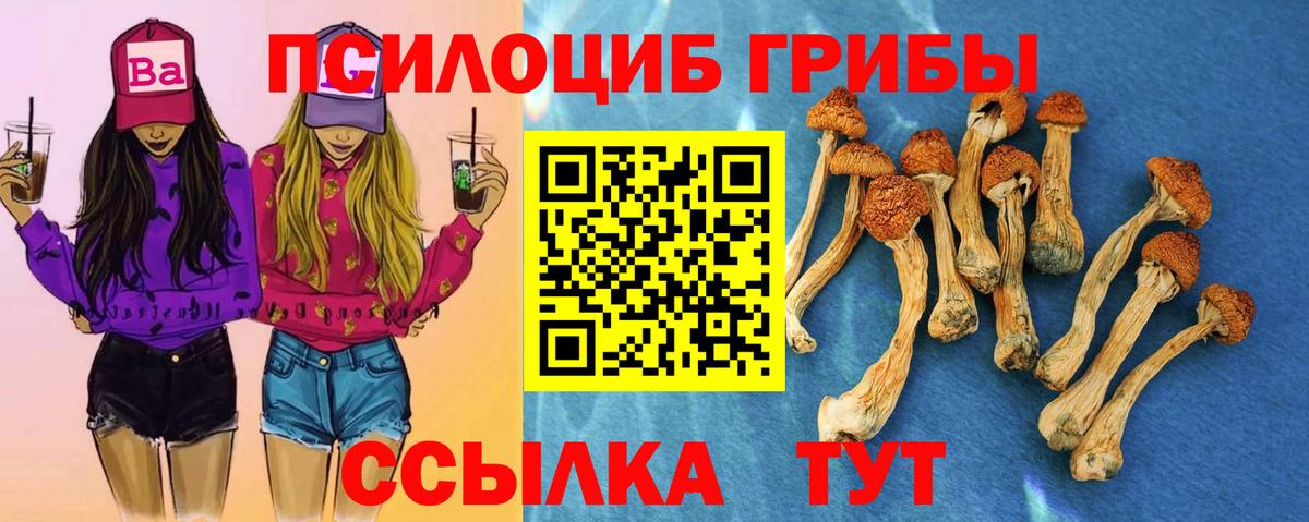 Галлюциногенные грибы ЛСД  Вход с VPN  Псилоцибиновые грибы Psilocybe  Златоуст 